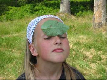 Leaf Relay Race